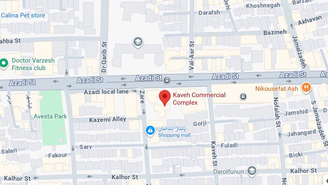 google map