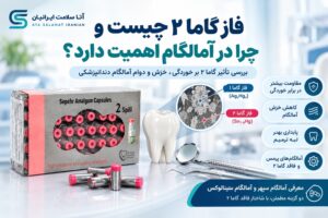 فاز گاما ۲ چیست و چرا در آمالگام اهمیت دارد؟