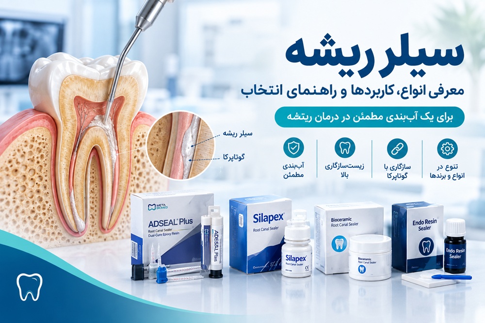 سیلر ریشه چیست